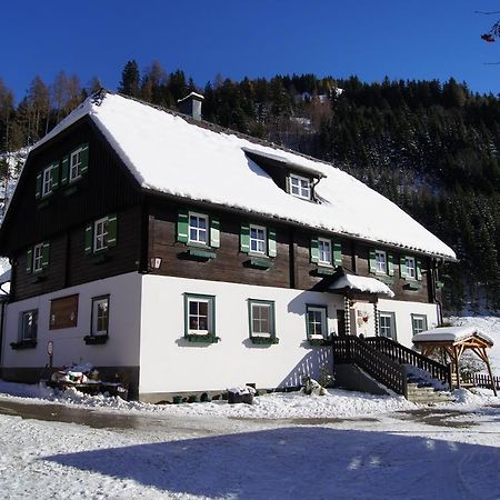 Appartement Der Perweinhof à Donnersbachwald Extérieur photo