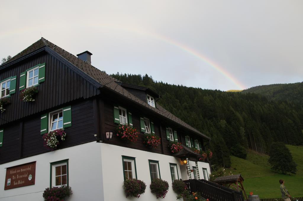 Appartement Der Perweinhof à Donnersbachwald Extérieur photo