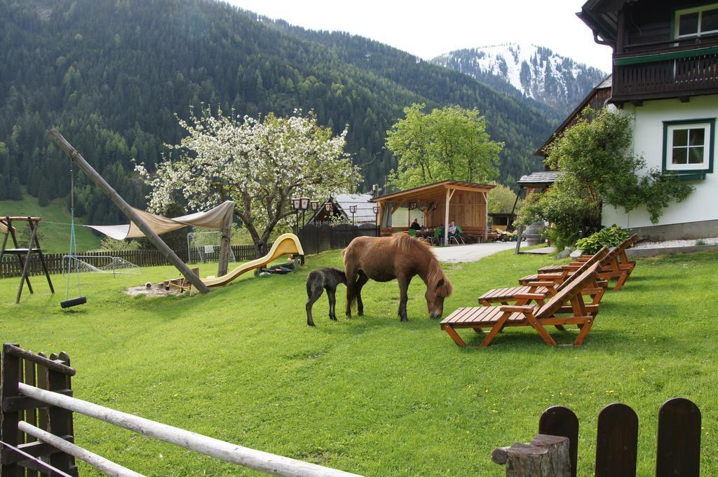 Appartement Der Perweinhof à Donnersbachwald Extérieur photo