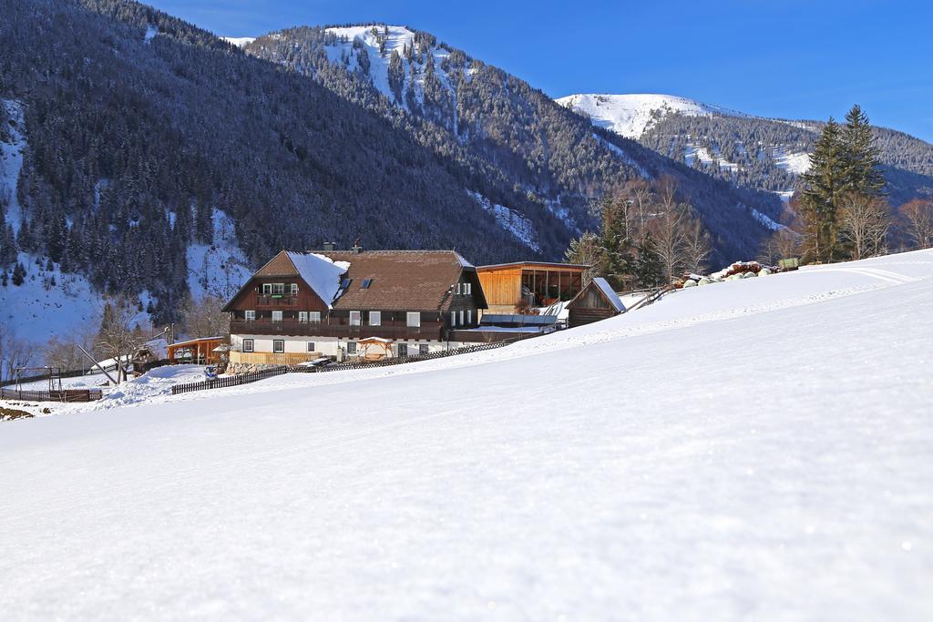 Appartement Der Perweinhof à Donnersbachwald Extérieur photo