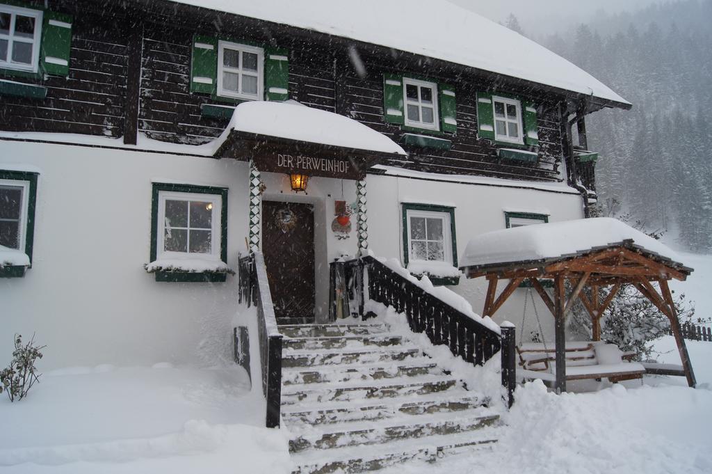 Appartement Der Perweinhof à Donnersbachwald Extérieur photo