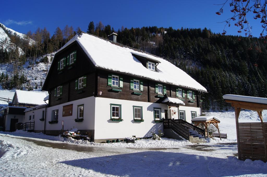 Appartement Der Perweinhof à Donnersbachwald Extérieur photo