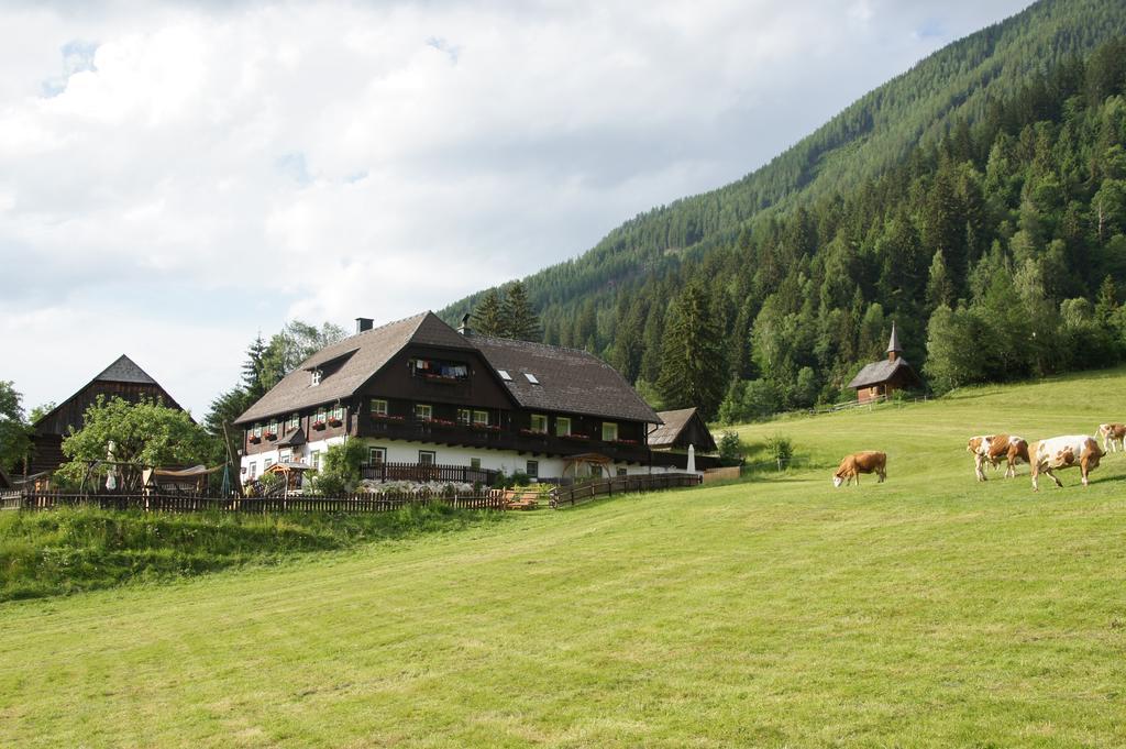 Appartement Der Perweinhof à Donnersbachwald Extérieur photo